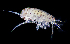  ( - ZHAK-01823)  @11 [ ] CreativeCommons Attribution Non-Commercial No Derivatives (2022) Hakai Institute Hakai Institute