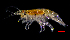  ( - ZHAK-01840)  @11 [ ] CreativeCommons Attribution Non-Commercial No Derivatives (2022) Hakai Institute Hakai Institute