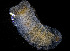  ( - ZHAK-01917)  @11 [ ] CreativeCommons Attribution Non-Commercial No Derivatives (2022) Hakai Institute Hakai Institute