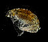  ( - ZHAK-03338)  @11 [ ] CreativeCommons Attribution Non-Commercial No Derivatives (2023) Hakai Institute Hakai Institute