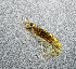  ( - ZHAK-03385)  @11 [ ] CreativeCommons Attribution Non-Commercial No Derivatives (2023) Hakai Institute Hakai Institute