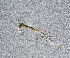  ( - ZHAK-03422)  @11 [ ] CreativeCommons Attribution Non-Commercial No Derivatives (2023) Hakai Institute Hakai Institute