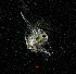  ( - ZHAK-03807)  @11 [ ] CreativeCommons Attribution Non-Commercial No Derivatives (2023) Hakai Institute Hakai Institute