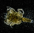  ( - ZHAK-03810)  @11 [ ] CreativeCommons Attribution Non-Commercial No Derivatives (2023) Hakai Institute Hakai Institute