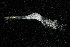  ( - ZHAK-03823)  @11 [ ] CreativeCommons Attribution Non-Commercial No Derivatives (2023) Hakai Institute Hakai Institute