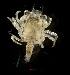  ( - ZHAK-03925)  @11 [ ] CreativeCommons Attribution Non-Commercial No Derivatives (2023) Hakai Institute Hakai Institute