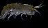  ( - ZHAK-03946)  @11 [ ] CreativeCommons Attribution Non-Commercial No Derivatives (2023) Hakai Institute Hakai Institute