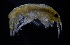  ( - ZHAK-03947)  @11 [ ] CreativeCommons Attribution Non-Commercial No Derivatives (2023) Hakai Institute Hakai Institute