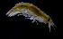  ( - ZHAK-03950)  @11 [ ] CreativeCommons Attribution Non-Commercial No Derivatives (2023) Hakai Institute Hakai Institute