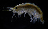  ( - ZHAK-03951)  @11 [ ] CreativeCommons Attribution Non-Commercial No Derivatives (2023) Hakai Institute Hakai Institute