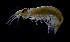  ( - ZHAK-03952)  @11 [ ] CreativeCommons Attribution Non-Commercial No Derivatives (2023) Hakai Institute Hakai Institute
