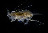  ( - ZHAK-03973)  @11 [ ] CreativeCommons Attribution Non-Commercial No Derivatives (2023) Hakai Institute Hakai Institute