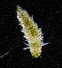  ( - ZHAK-04167)  @11 [ ] CreativeCommons Attribution Non-Commercial No Derivatives (2023) Hakai Institute Hakai Institute