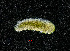  ( - ZHAK-04174)  @11 [ ] CreativeCommons Attribution Non-Commercial No Derivatives (2023) Hakai Institute Hakai Institute