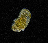  ( - ZHAK-04201)  @11 [ ] CreativeCommons Attribution Non-Commercial No Derivatives (2023) Hakai Institute Hakai Institute