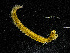  ( - ZHAK-04204)  @11 [ ] CreativeCommons Attribution Non-Commercial No Derivatives (2023) Hakai Institute Hakai Institute
