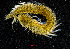  ( - ZHAK-04214)  @11 [ ] CreativeCommons Attribution Non-Commercial No Derivatives (2023) Hakai Institute Hakai Institute