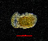  ( - ZHAK-04226)  @11 [ ] CreativeCommons Attribution Non-Commercial No Derivatives (2023) Hakai Institute Hakai Institute
