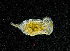  ( - ZHAK-04233)  @11 [ ] CreativeCommons Attribution Non-Commercial No Derivatives (2023) Hakai Institute Hakai Institute