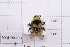  ( - 20QHBb-013)  @11 [ ] CreativeCommons  Attribution Non-Commercial Share-Alike (2030) Unspecified China Agricultural University