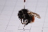  ( - 20QHBb-186)  @11 [ ] CreativeCommons  Attribution Non-Commercial Share-Alike (2030) Unspecified China Agricultural University
