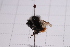  ( - 20QHBb-187)  @11 [ ] CreativeCommons  Attribution Non-Commercial Share-Alike (2030) Unspecified China Agricultural University