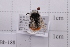  ( - 20QHBb-188)  @11 [ ] CreativeCommons  Attribution Non-Commercial Share-Alike (2030) Unspecified China Agricultural University