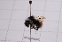  ( - 20QHBb-188)  @11 [ ] CreativeCommons  Attribution Non-Commercial Share-Alike (2030) Unspecified China Agricultural University