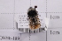  ( - 20QHBb-189)  @11 [ ] CreativeCommons  Attribution Non-Commercial Share-Alike (2030) Unspecified China Agricultural University