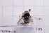  ( - 20QHBb-190)  @11 [ ] CreativeCommons  Attribution Non-Commercial Share-Alike (2030) Unspecified China Agricultural University