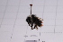  ( - 20QHBb-190)  @11 [ ] CreativeCommons  Attribution Non-Commercial Share-Alike (2030) Unspecified China Agricultural University