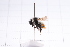  ( - 20QHBb-191)  @11 [ ] CreativeCommons  Attribution Non-Commercial Share-Alike (2030) Unspecified China Agricultural University