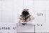  ( - 20QHBb-192)  @11 [ ] CreativeCommons  Attribution Non-Commercial Share-Alike (2030) Unspecified China Agricultural University