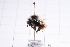  ( - 20QHBb-192)  @11 [ ] CreativeCommons  Attribution Non-Commercial Share-Alike (2030) Unspecified China Agricultural University