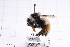  ( - 20QHBb-193)  @11 [ ] CreativeCommons  Attribution Non-Commercial Share-Alike (2030) Unspecified China Agricultural University