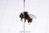  ( - 20QHBb-194)  @11 [ ] CreativeCommons  Attribution Non-Commercial Share-Alike (2030) Unspecified China Agricultural University
