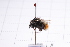  ( - 20QHBb-195)  @11 [ ] CreativeCommons  Attribution Non-Commercial Share-Alike (2030) Unspecified China Agricultural University