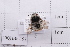  ( - 20QHBb-197)  @11 [ ] CreativeCommons  Attribution Non-Commercial Share-Alike (2030) Unspecified China Agricultural University