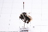  ( - 20QHBb-197)  @11 [ ] CreativeCommons  Attribution Non-Commercial Share-Alike (2030) Unspecified China Agricultural University