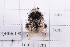  ( - 20QHBb-198)  @11 [ ] CreativeCommons  Attribution Non-Commercial Share-Alike (2030) Unspecified China Agricultural University