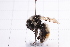  ( - 20QHBb-198)  @11 [ ] CreativeCommons  Attribution Non-Commercial Share-Alike (2030) Unspecified China Agricultural University