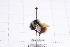  ( - 20QHBb-200)  @11 [ ] CreativeCommons  Attribution Non-Commercial Share-Alike (2030) Unspecified China Agricultural University