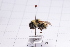  ( - 20QHBb-224)  @11 [ ] CreativeCommons  Attribution Non-Commercial Share-Alike (2030) Unspecified China Agricultural University