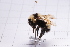  ( - 20QHBb-225)  @11 [ ] CreativeCommons  Attribution Non-Commercial Share-Alike (2030) Unspecified China Agricultural University