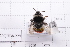  ( - 20QHBb-229)  @11 [ ] CreativeCommons  Attribution Non-Commercial Share-Alike (2030) Unspecified China Agricultural University