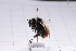  ( - 20QHBb-229)  @11 [ ] CreativeCommons  Attribution Non-Commercial Share-Alike (2030) Unspecified China Agricultural University