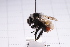  ( - 20QHBb-230)  @11 [ ] CreativeCommons  Attribution Non-Commercial Share-Alike (2030) Unspecified China Agricultural University