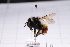  ( - 20QHBb-232)  @11 [ ] CreativeCommons  Attribution Non-Commercial Share-Alike (2030) Unspecified China Agricultural University