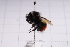  ( - 20QHBb-233)  @11 [ ] CreativeCommons  Attribution Non-Commercial Share-Alike (2030) Unspecified China Agricultural University