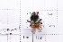  ( - 20QHBb-251)  @11 [ ] CreativeCommons  Attribution Non-Commercial Share-Alike (2030) Unspecified China Agricultural University
